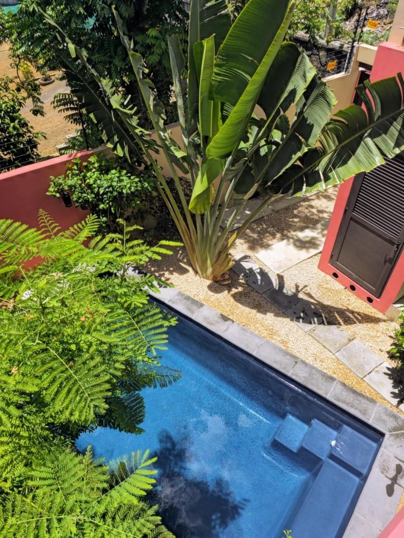 Villa Centre Grand Bay Exteriér fotografie